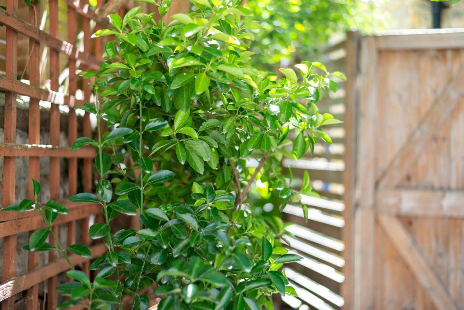 Guestready - Micro Garden Flat In Fulham Apartment